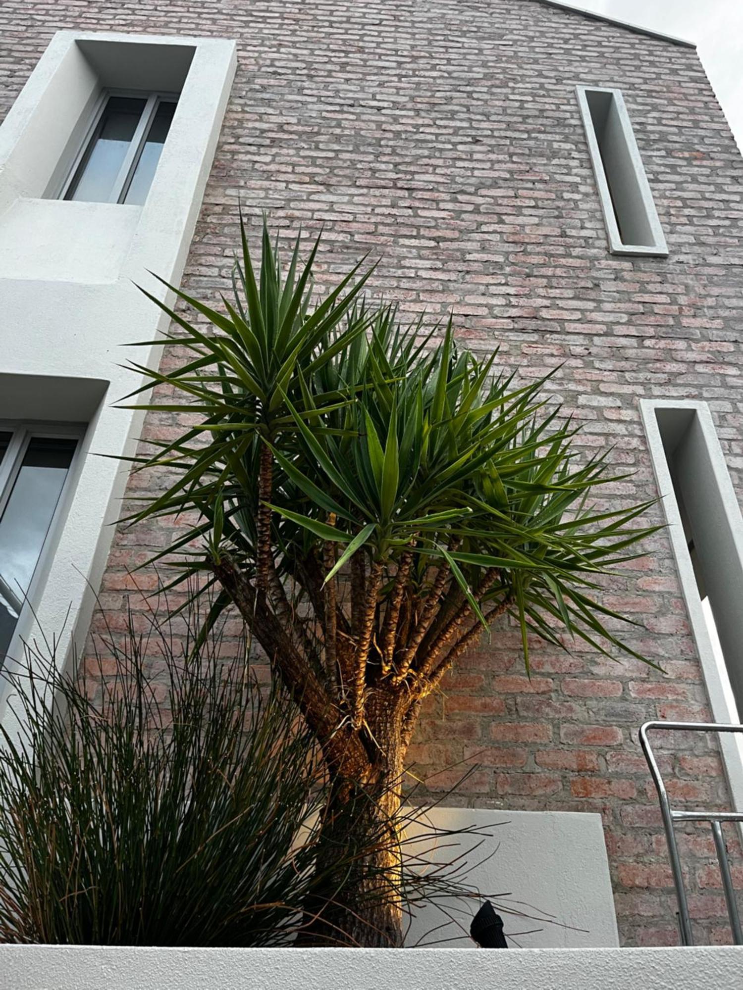 The Windhoek Luxury Suites Exteriér fotografie